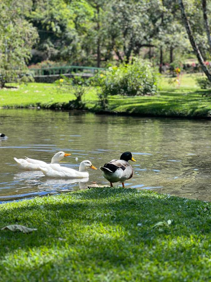 La Casa De Los Patos El Valle de Anton 外观 照片